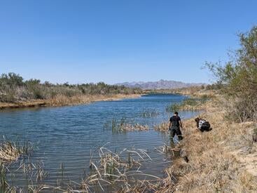 Researchers in the CO River