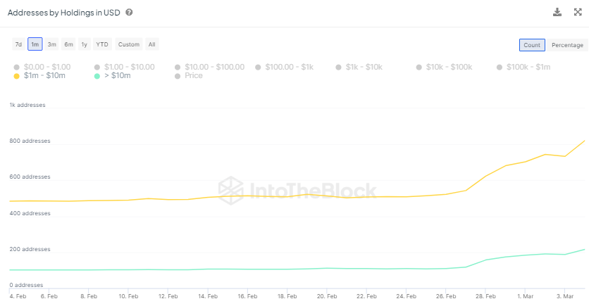 Dogecoin Millionaires