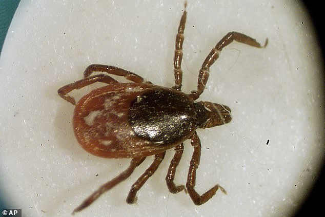 The Centers for Disease Control and Prevention reported that Lyme disease infects about 476,000 people in the US each year