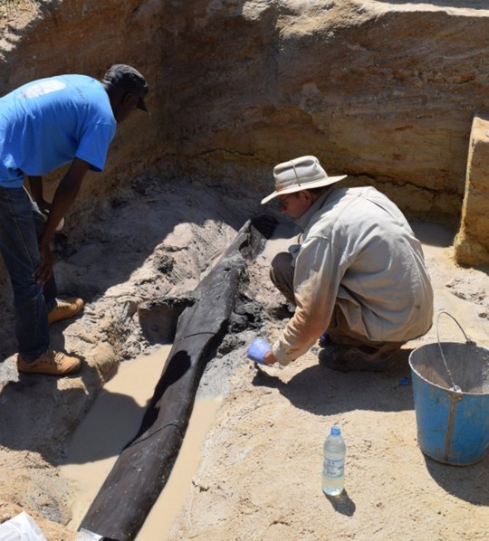 The excavation team carefully uncovering the wooden structure