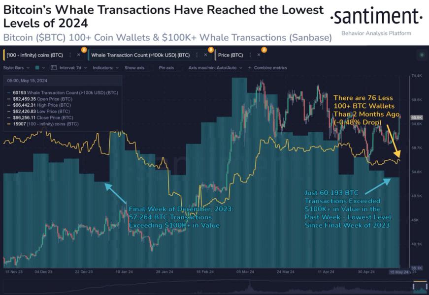 Bitcoin Whale transactions trend.