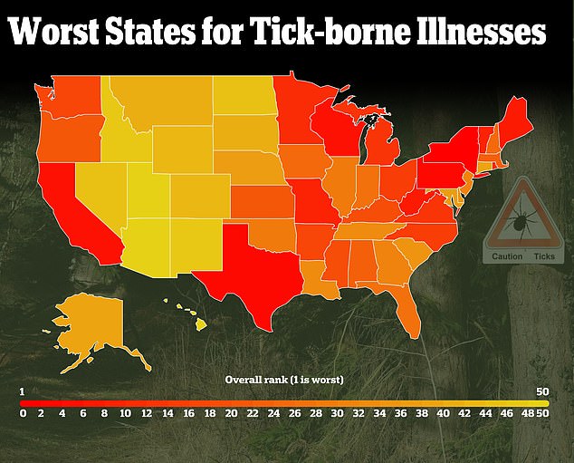 The states most affected by ticks are New York, Pennsylvania and Texas and were ranked based on how high they scored in categories including Infestation Risk, Environmental Factors, Tick Distribution, Climate, Agricultural Factors, and Pest Control