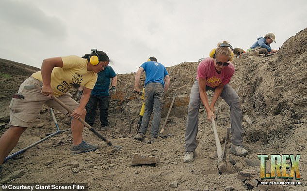 Over 11 days, the fossil was excavated by a team of volunteers before being transported by Black Hawk helicopter to a truck for transportation