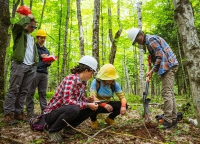 Students taking samples in the forest.