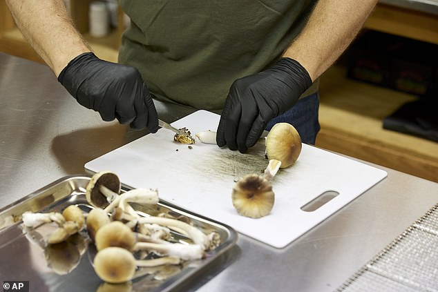 Researchers have found that the substantial antidepressant effects of psilocybin-assisted therapy, given with support psychotherapy, may last at least a year