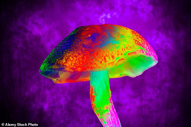 Dr Max says there is considerable doubt that magic mushrooms, particularly if they aren't taken in a clinical environment, can offer the panacea that some would have us believe