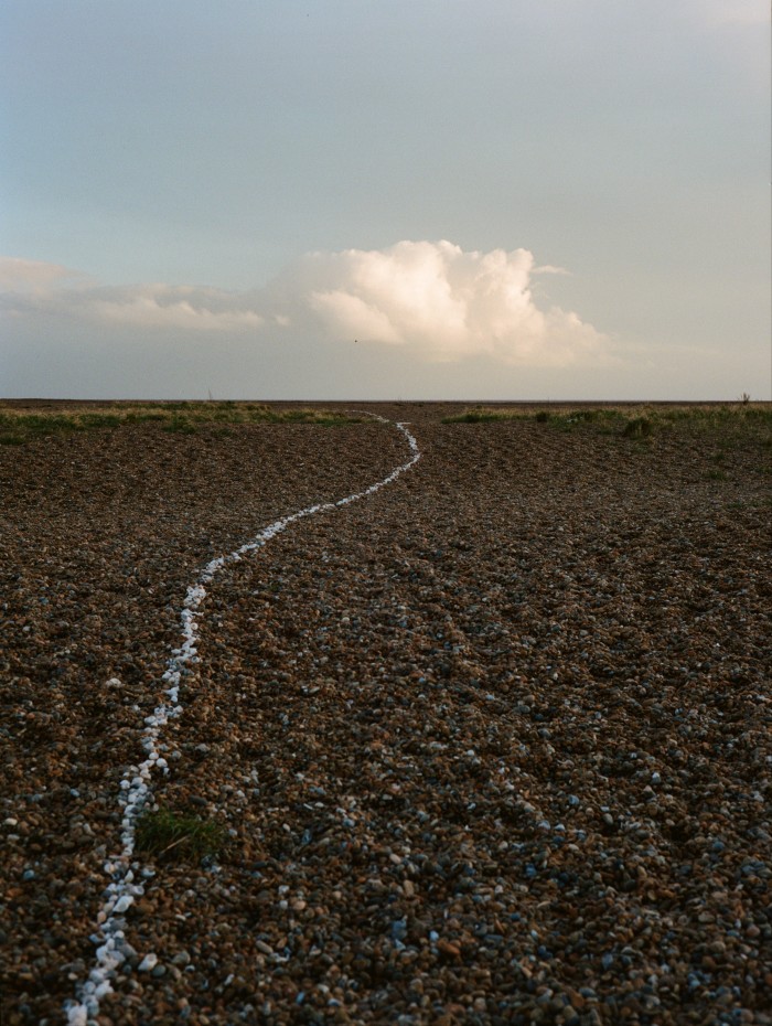 A line of shells stretching into the horizon