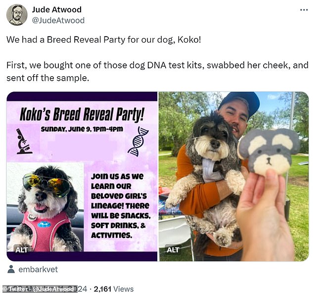 One of the biggest new trends for dog owners is hosting 'breed reveal parties' for their dogs to reveal the results of their DNA test