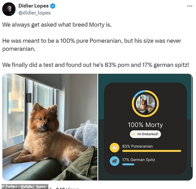 On X, formerly Twitter, one commenter complained that their dog, Morty, turned out to not be as purebred as they had thought