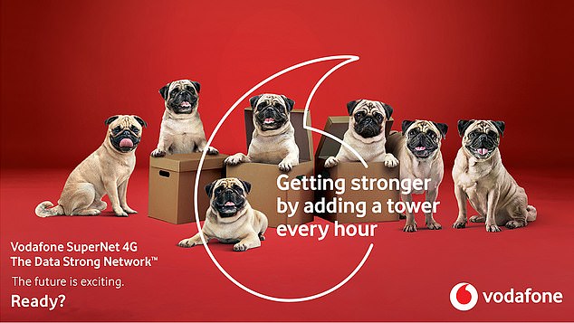 Pugs were feature in Vodafone's advert for its Vodafone SuperNet 4G The Data Strong Network