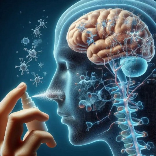 Illustration showing the nasal spray delivering antibodies directly to the brain