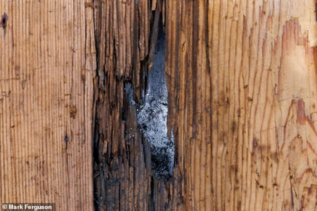 The musket ball went through the panelling and made a crater in the plaster and stone behind it