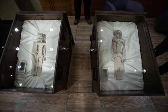 MEXICO CITY, MEXICO - SEPTEMBER 13: Two 'non-human' beings displayed to the media during a press conference of Mexican journalist and UFO expert, Jaime Maussan, at the Camino Real hotel, in Mexico City, Mexico on September 13, 2023. The press conference was holding the day after the country's first public congressional hearing on the topic with UFO experts. The bodies displayed in cases, have three fingers on each hand they were recovered in Peru in 2017, they have no relation to human beings, experts said. (Photo by Daniel Cardenas/Anadolu Agency via Getty Images)