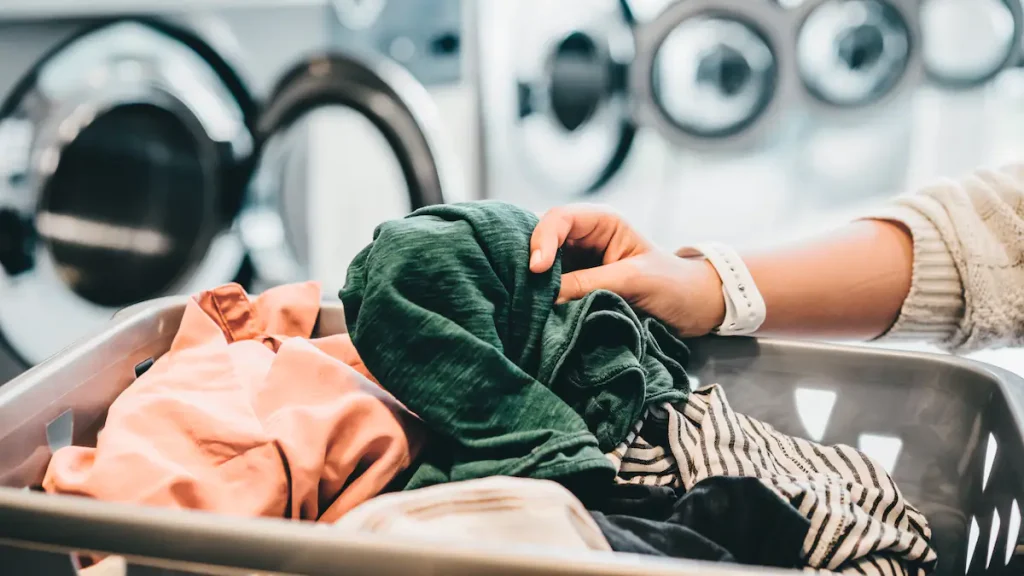 What are the Four Types of Laundry Businesses?