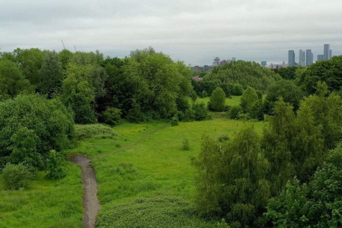 Ryebank Fields