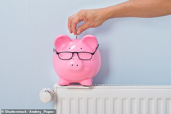 Fears: Some pensioners say they will struggle to make ends meet because of losing the winter fuel payment, especially if energy bills start rising as winter closes in