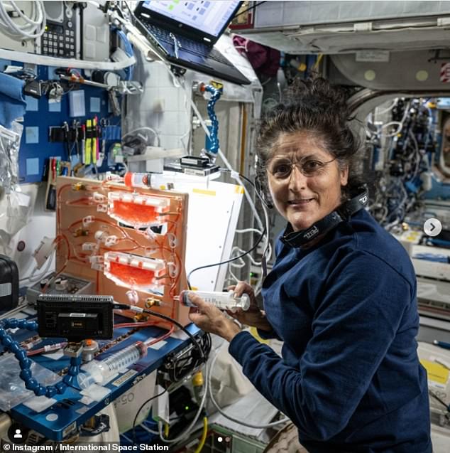 Suni has been taking part in science experiments, including giving water the space station's plants