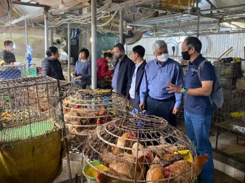 FAO Vietnam A live bird market in Quảng Ninh