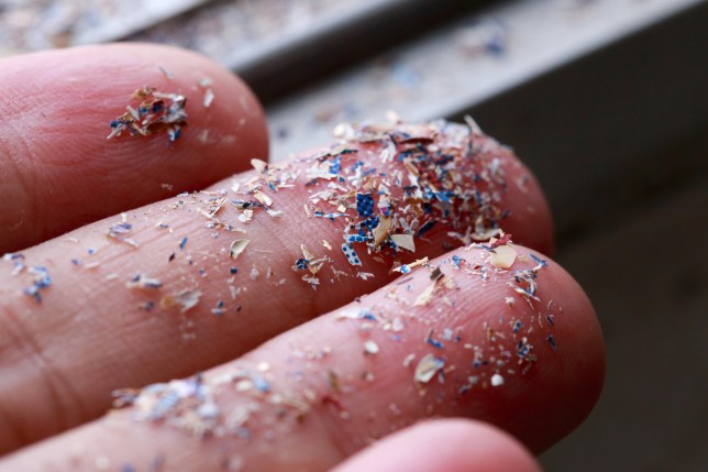 Close up side shot of microplastics lay on people hand.Concept of water pollution and global warming. Climate change idea.; Shutterstock ID 1972889006; purchase_order: -; job: -; client: -; other: -