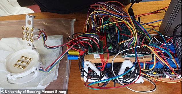 The researchers placed the jelly in a grid of electrodes (left of picture) which allowed the jelly to simulate the movement of the paddle and ball through electrical stimulation