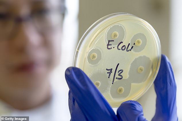 Experts have long been concerned by shiga toxin-producing E.coli (STEC), a rare strain of the diarrhoea-causing bug. STEC is considered to be extremely infectious, and in up to 15 per cent of cases, the bug can cause haemolytic uremic syndrome (HUS), a life-threatening condition that can lead to kidney failure