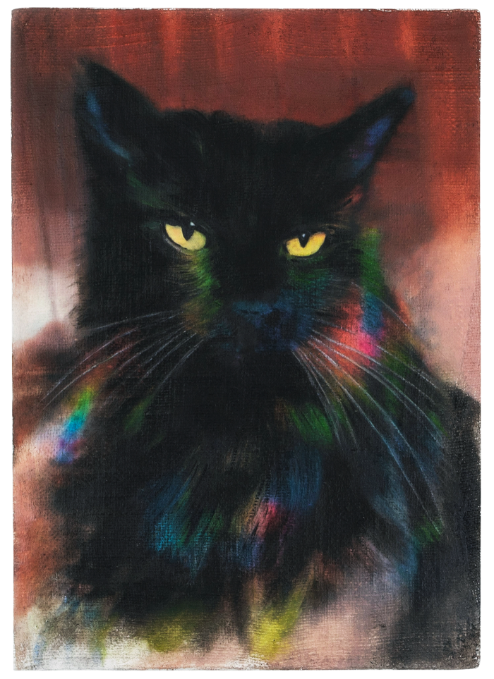 Rainbow Cat, 2024, by Joseph Jones