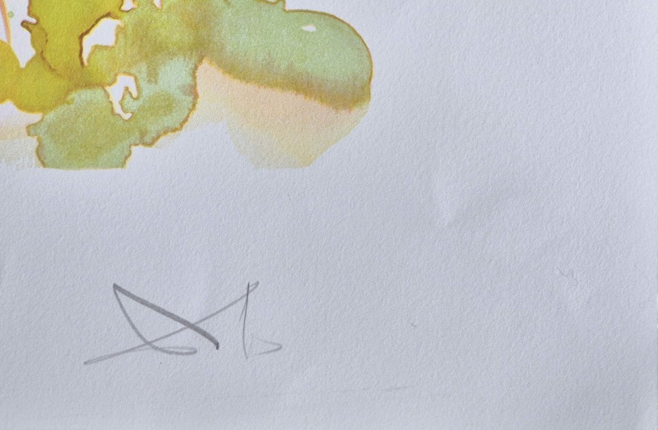 Dali's signature in pencil on one of the lithographs