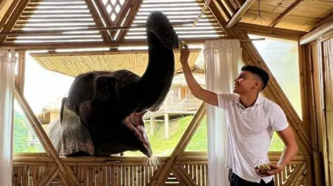 Instagram Samy Daim standing in a wooden room with an elephant's head coming through the window with its trunk extended upwards and taking food from Mr Daim's hand. Mr Daim is wearing a white T-shirt and smiling as he looks at the elephant.