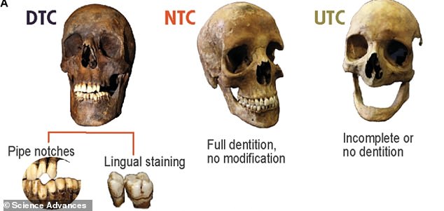 The researchers studied bones from detected tobacco consumers (DTCs) and non-detected tobacco consumers (NTCs). Many archaeological individuals have poorly preserved dental remains or lose their teeth before death, categorizing them as undetermined tobacco consumers (UTCs)