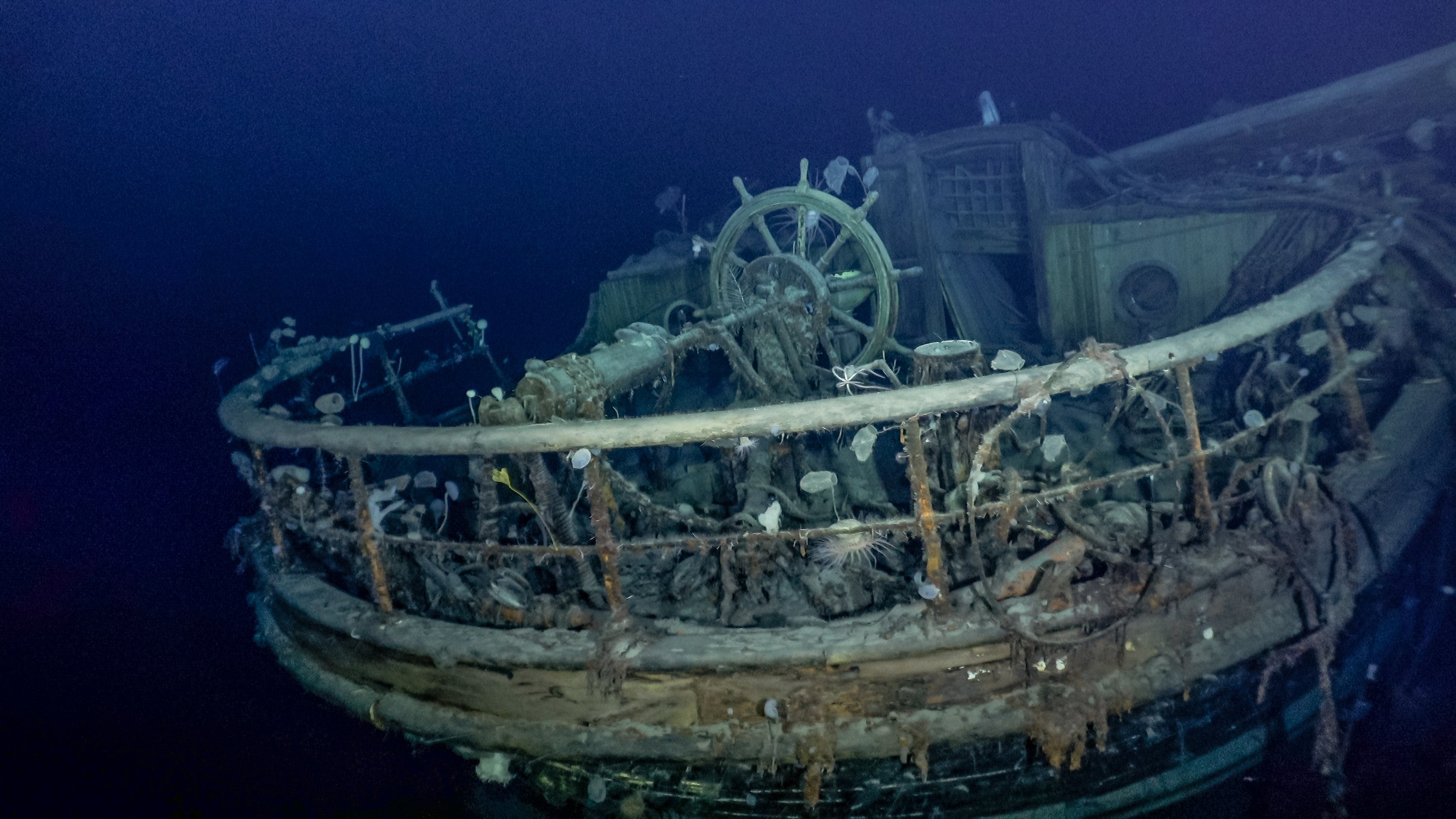 The taffrail and wheel of the Endurance underwater, as seen over a century after it sank