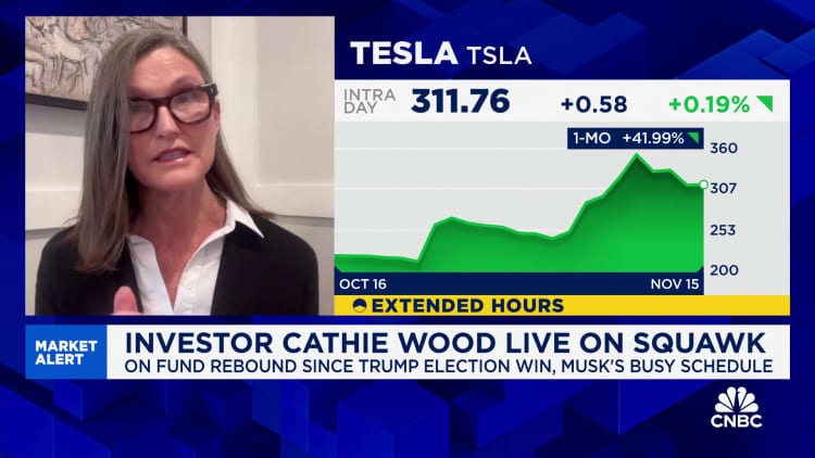 Watch CNBC's full interview with Ark Invest CEO Cathie Wood