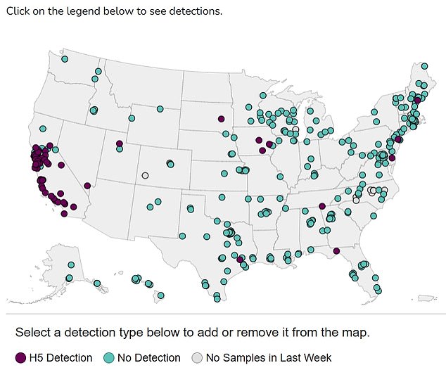 The above shows detections of bird flu in wastewater. There is a cluster of detections in the California area