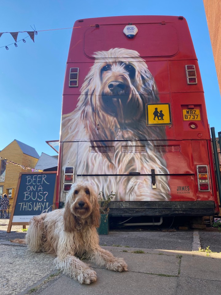 The couple's 4-year-old dog Mag features prominently on the rear of the bus