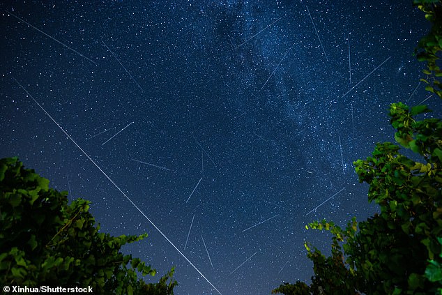 This long exposure photo shows the Perseid meteor shower over Osijek, Croatia on August 11