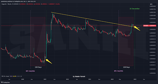 Dogecoin price 1