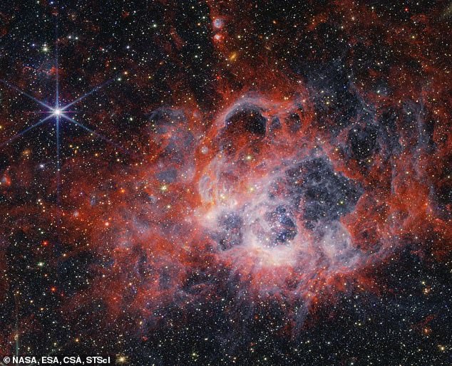 JWST captured this near-infrared view of the star-forming region NGC 604, which sits in the Triangulum galaxy 2.7 million light-years from Earth