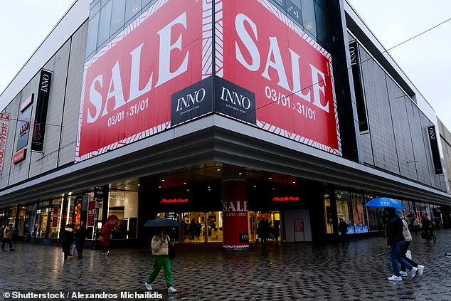 Rogue retailers are deceiving shoppers into making purchases by creating fake websites, made to look like popular high-street brands (file image)