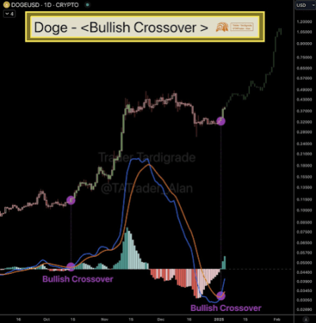 Dogecoin 2