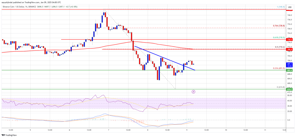 BNB Price